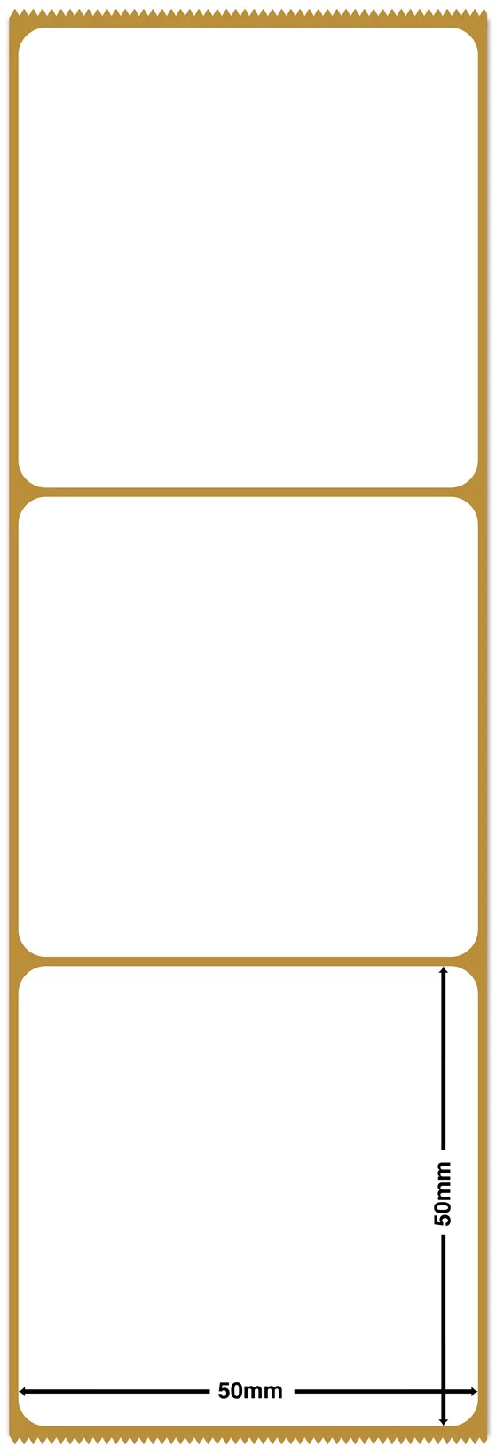 Printable Blank 1-Es