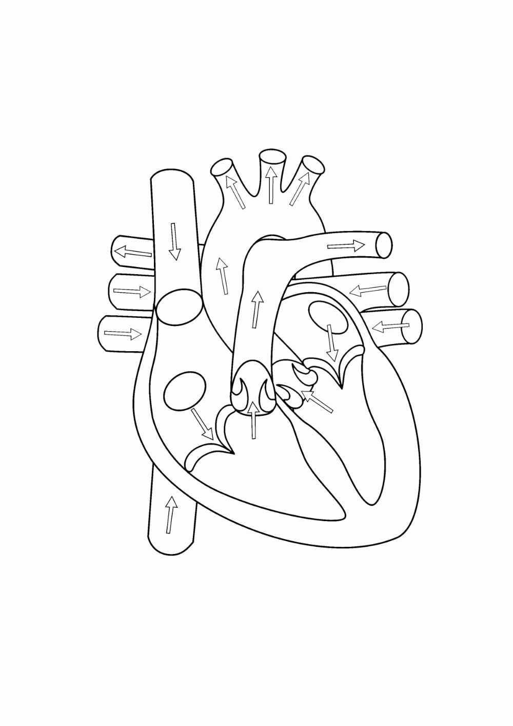 9 Ideias De Cora o Escola De Medicina Material De Enfermagem 