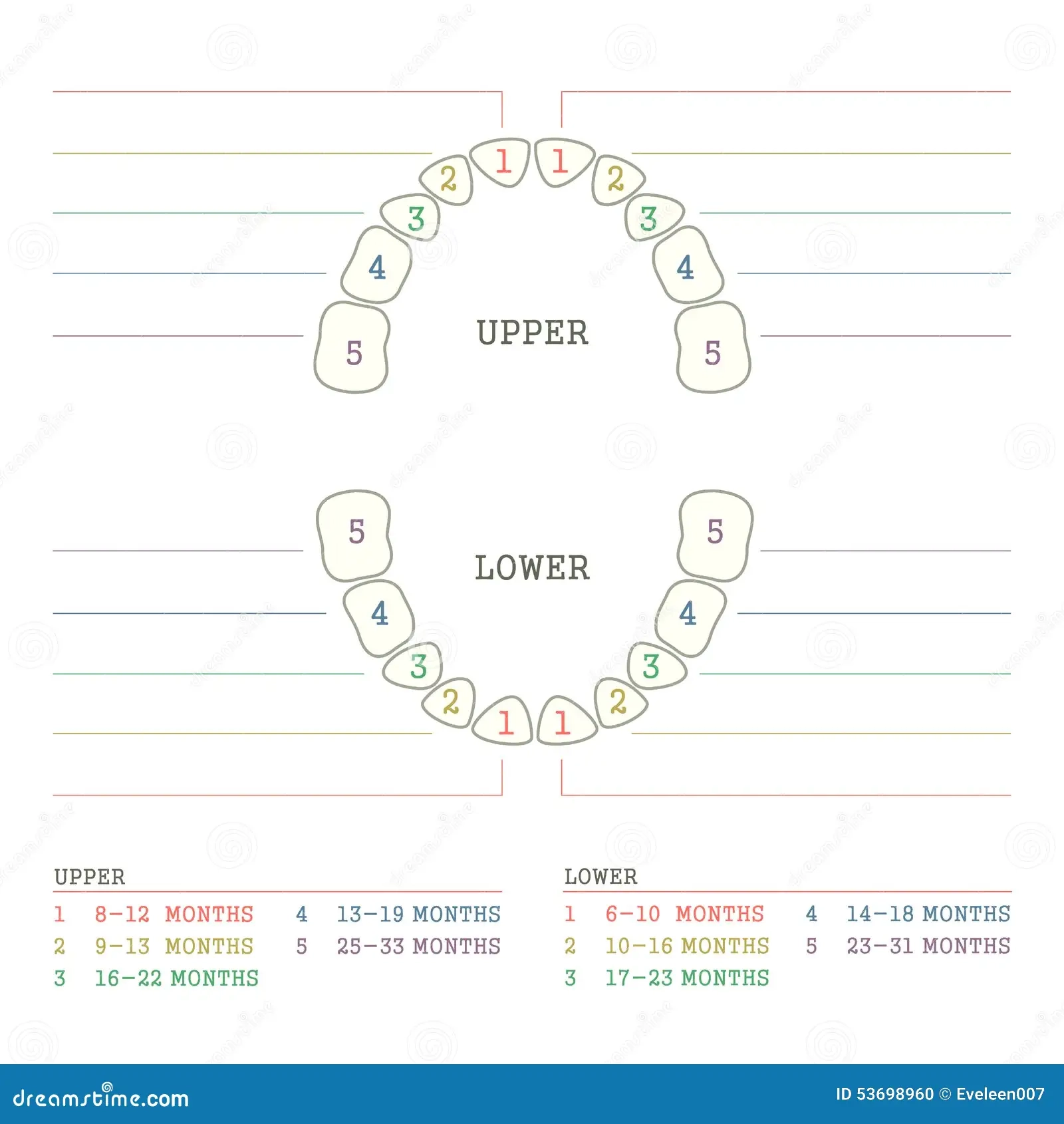 Printable Blank Tooth Chart