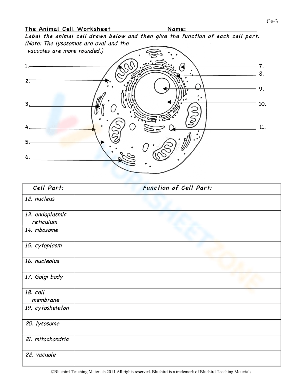 Animal Cell Blank Printable