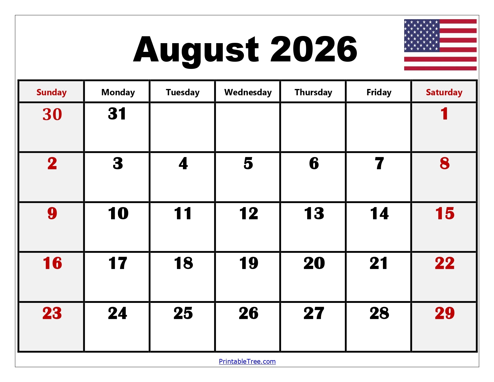Printable Blank Calendar August 2026