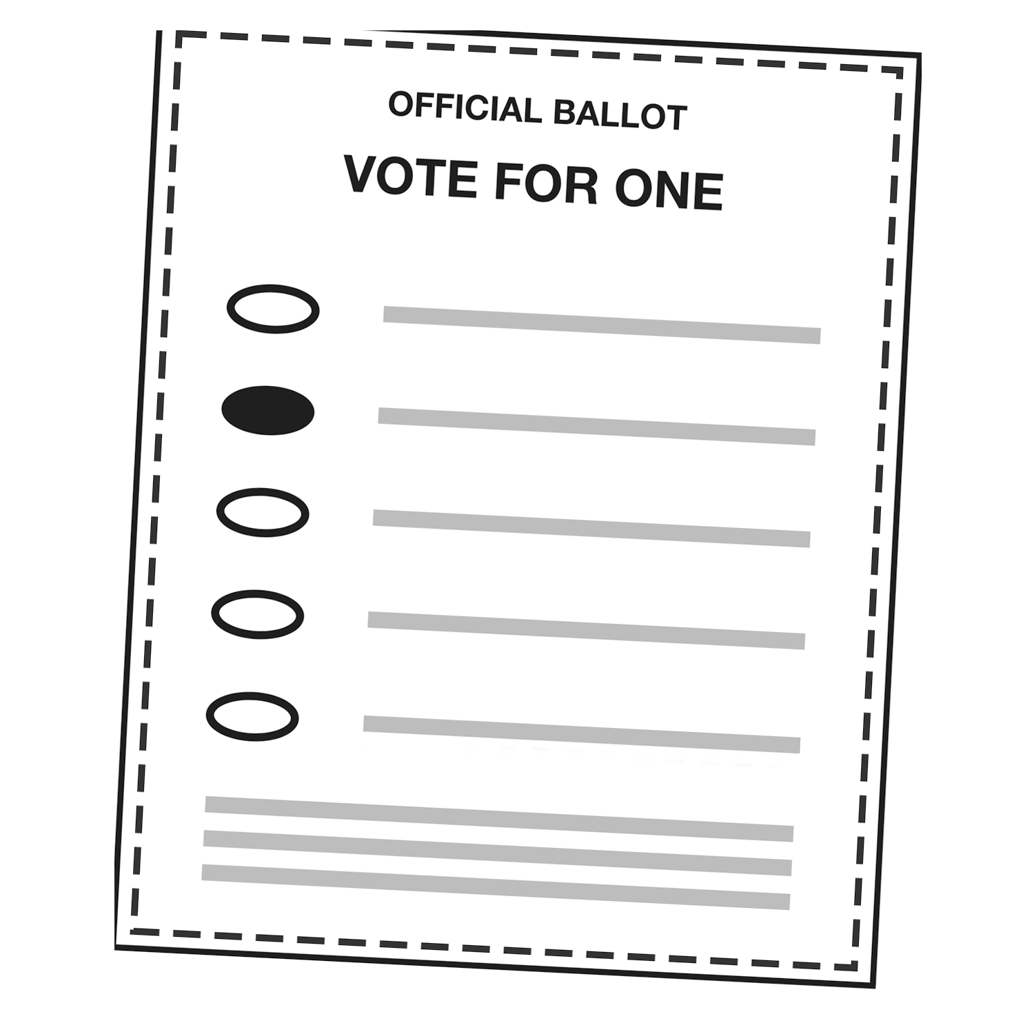 Ballot Replication Guide Elections Group