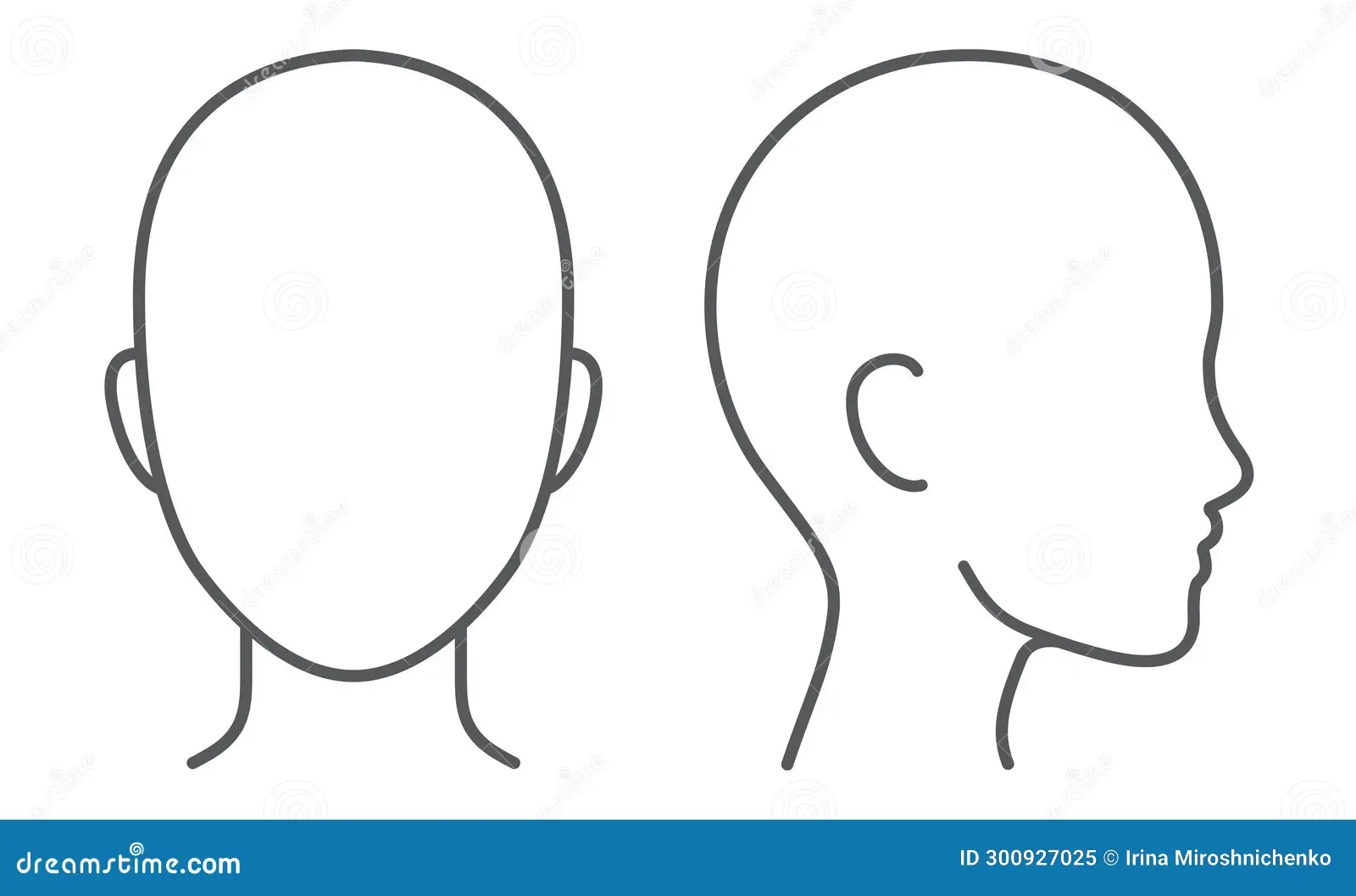 Blank Face And Head Profile Diagram Stock Vector Illustration Of 