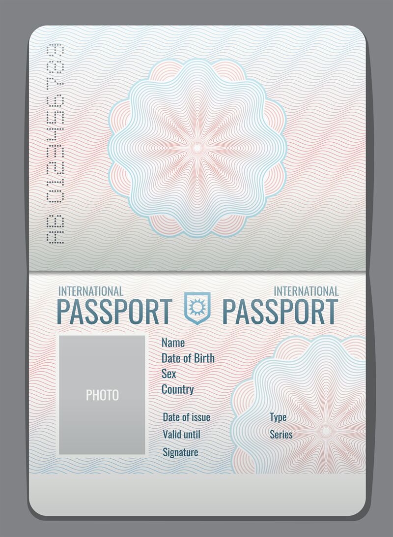 Blank Open Passport Template Isolated Vector Illustration By 