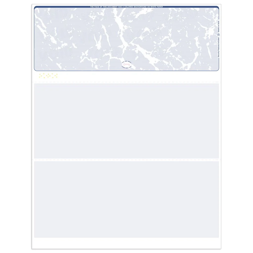 Blank Top Check Format Business Check Paper Check Depot
