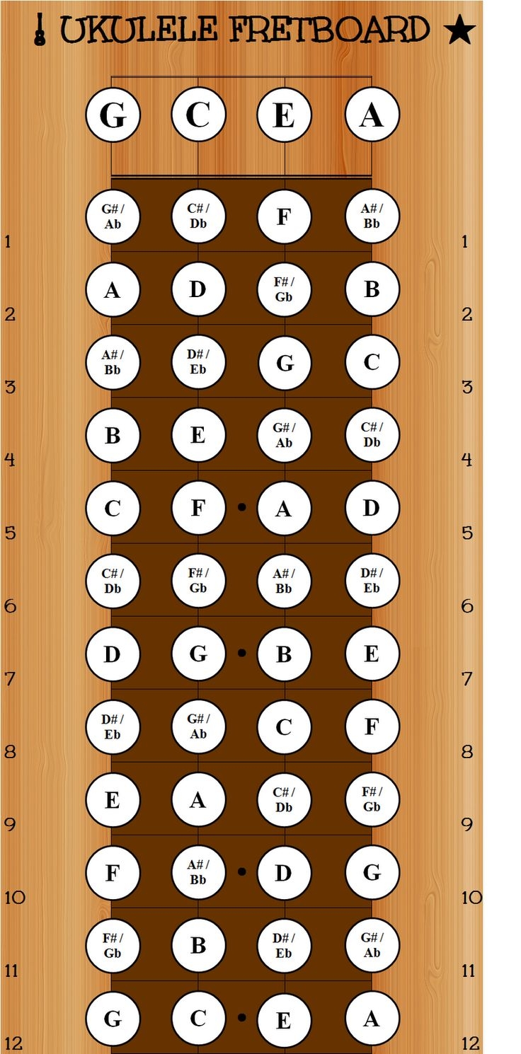 Blank Ukulele Neck Diagram