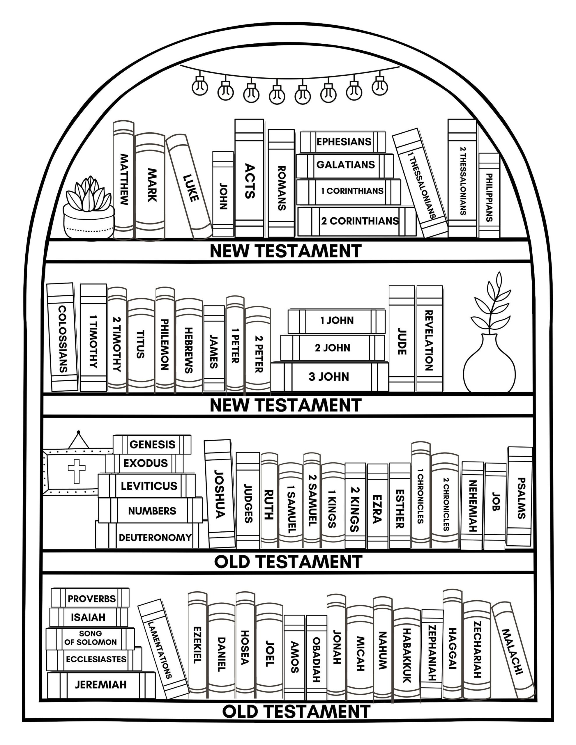 Books Of The Bible Printable Free Coloring Shop On Pinterest