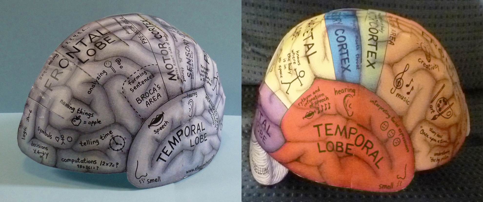 Brain Hemisphere Hat Ellen McHenry s Basement Workshop