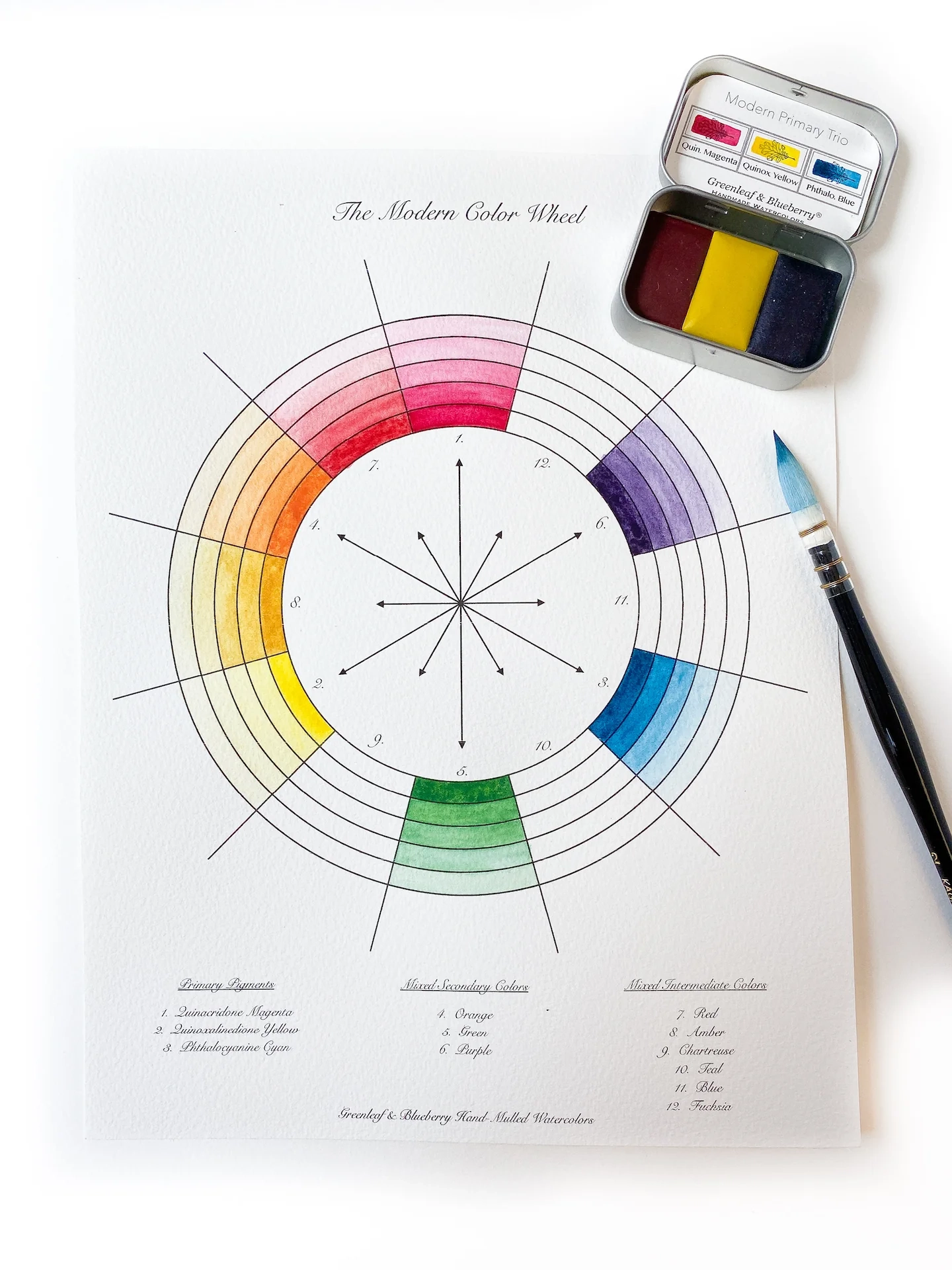 Color Wheel Chart Blank Paint It Yourself Digital Download 