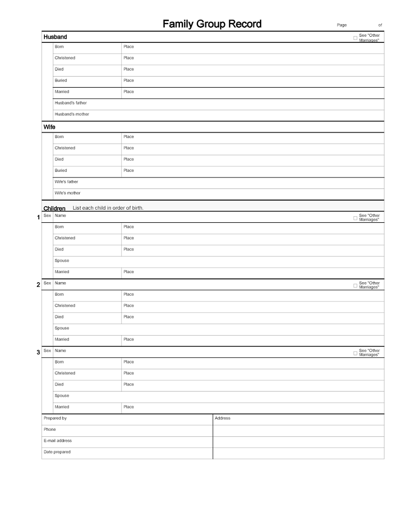 Cousin Connection Tip 3 The Family Group Sheet Global Family 