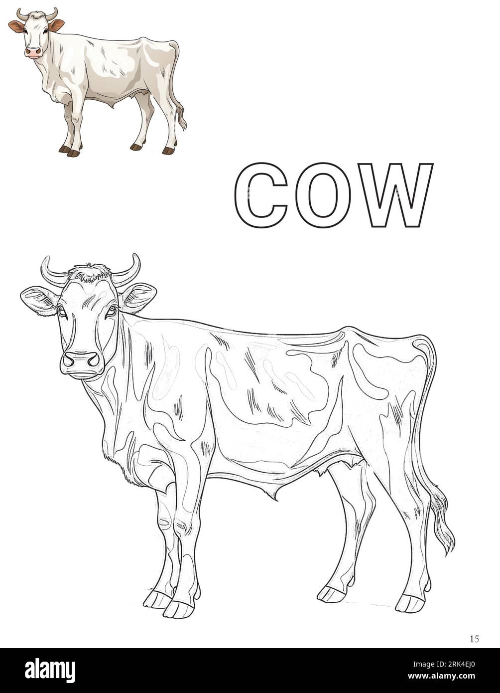 Cow Coloring Sheet Cute Hi res Stock Photography And Images Alamy