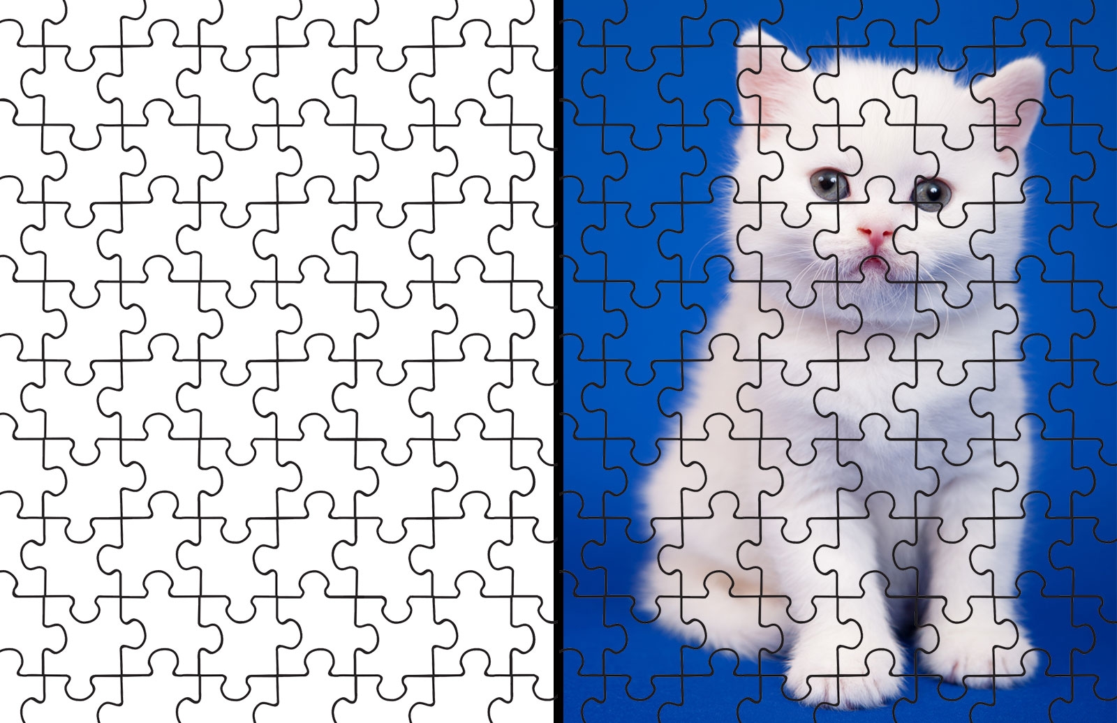 Blank Printable Puzzle Jigsaw
