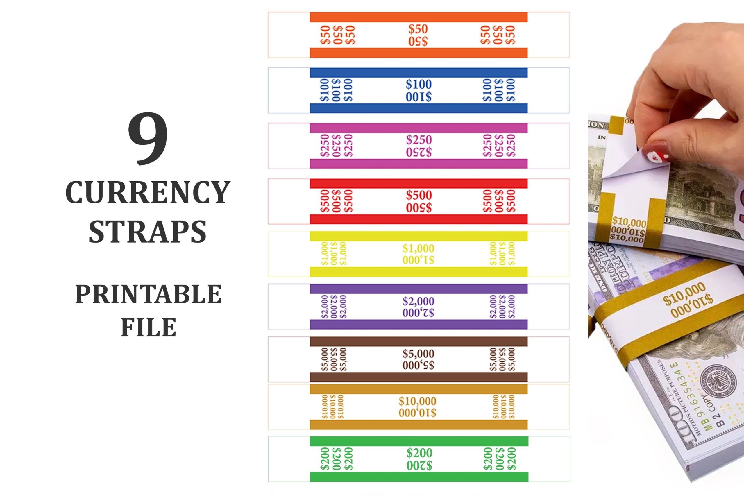 Currency Straps Money Bands