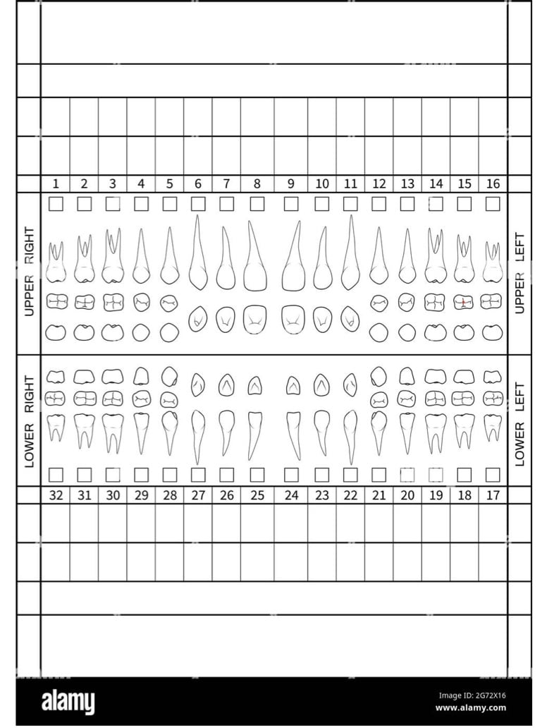 Free Printable Blank Periodontal Chart