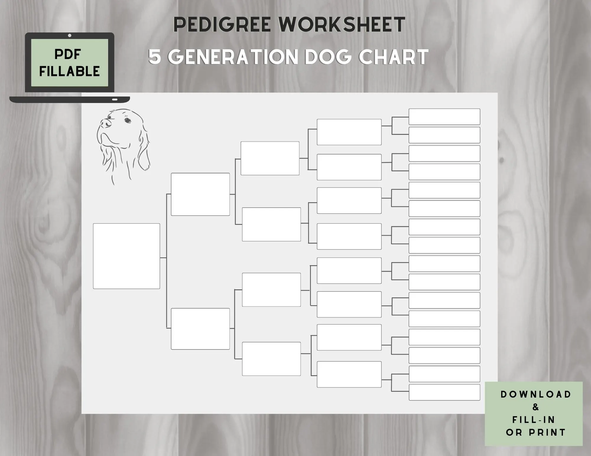 Dog Pedigree Chart 5 Generations On One Page Fillable PDF 