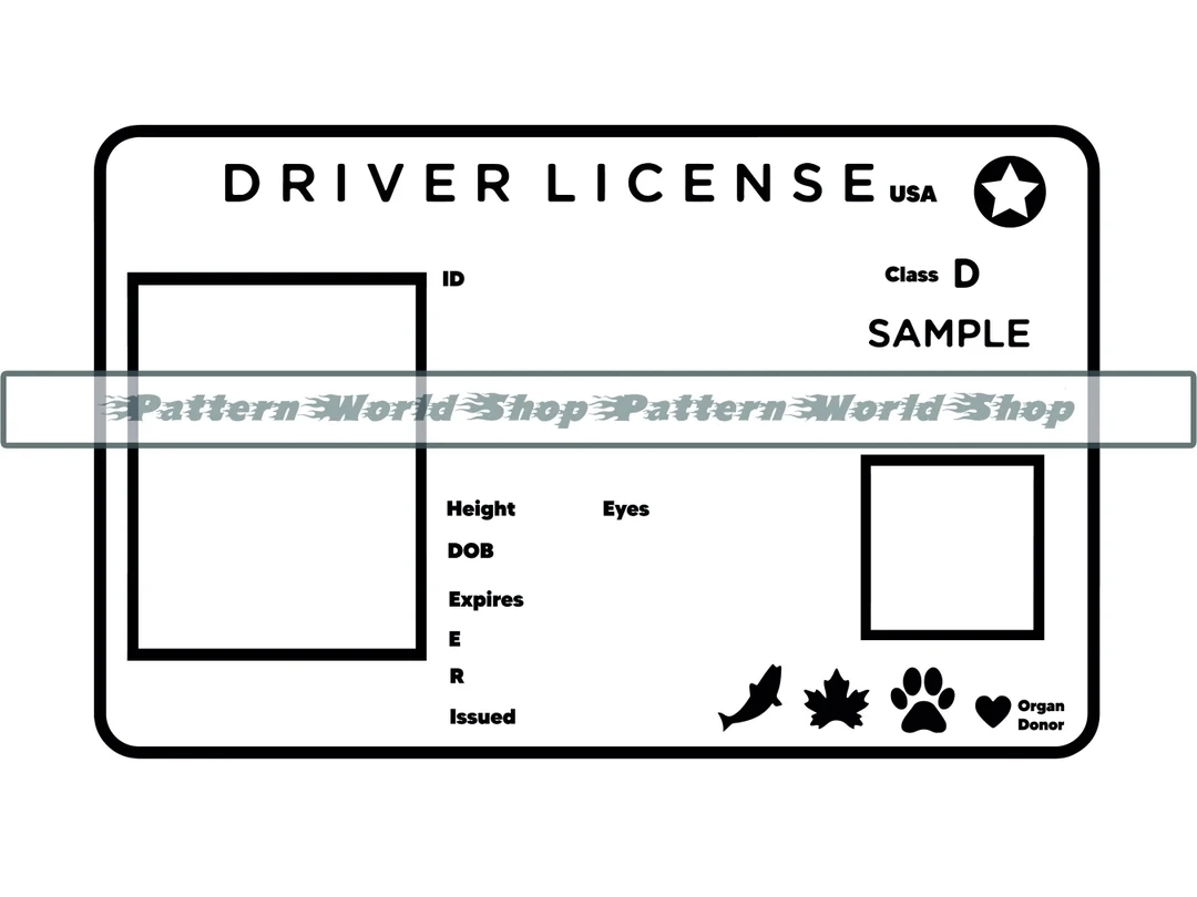 Drivers License Template SVG Drivers License SVG ID Svg 