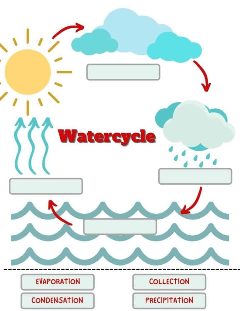 Blank Water Cycle Diagram Printable