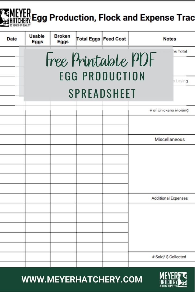 Egg Production Flock And Expense Tracker