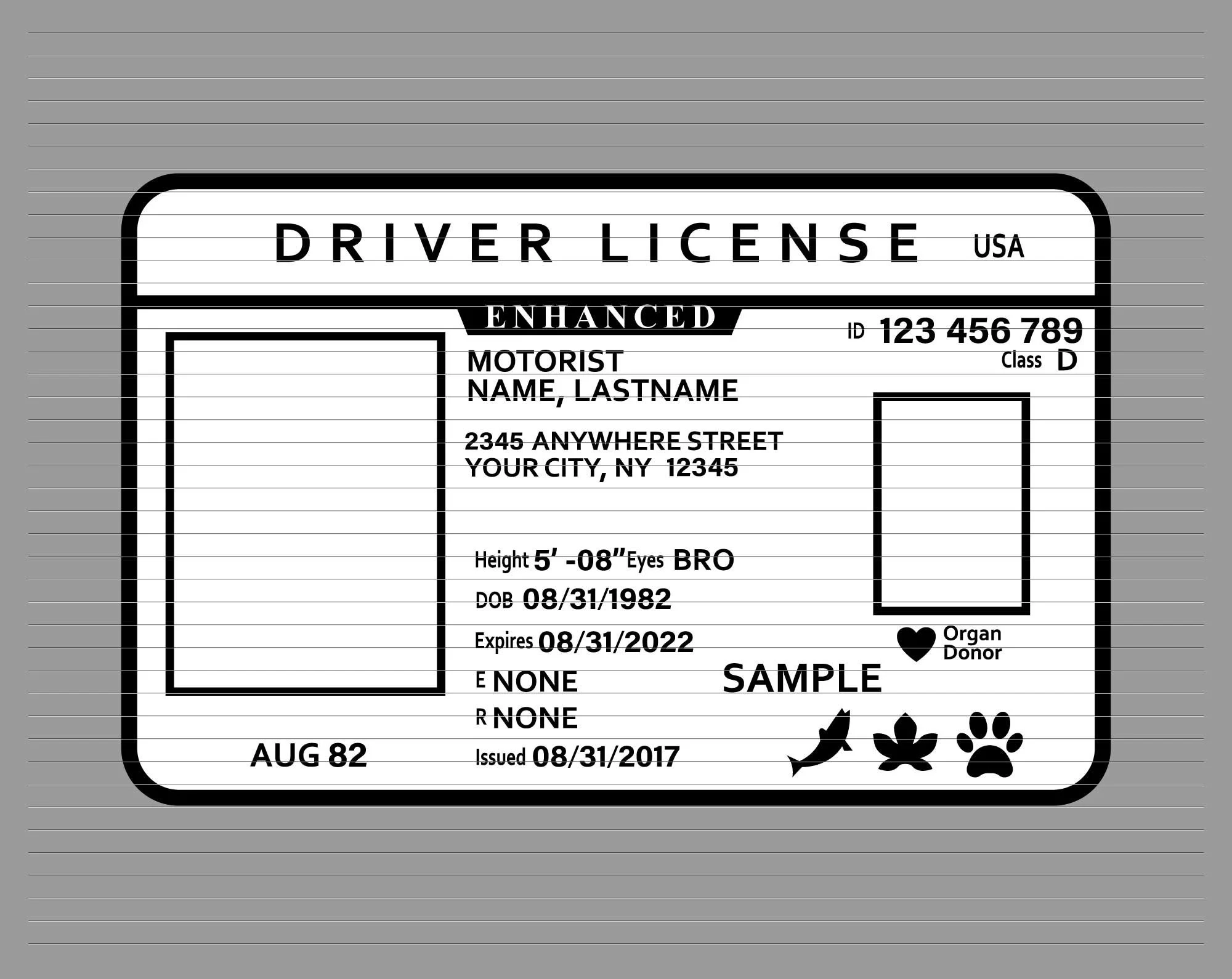 F hrerschein Svg F hrerschein Id Svg Id Karte Ausweis Svg 