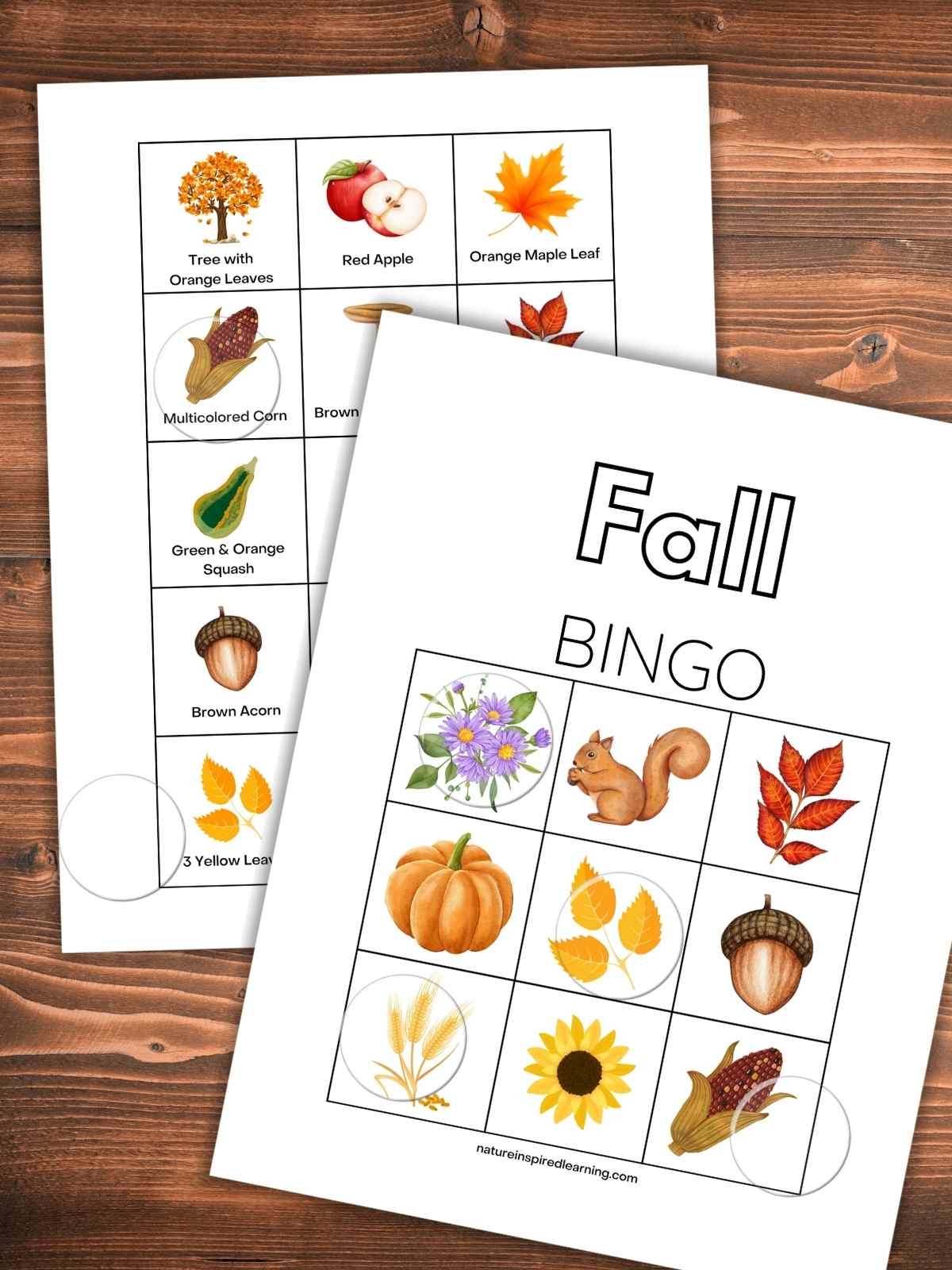 Fall Bingo Printable Nature Inspired Learning