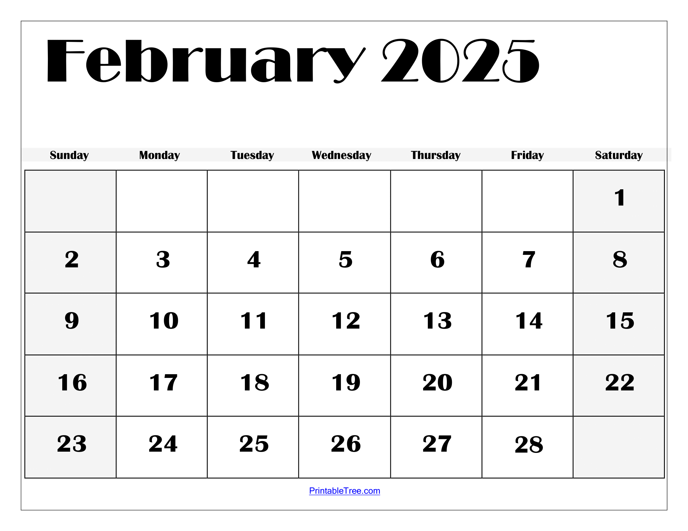 February Blank Printable Calendar