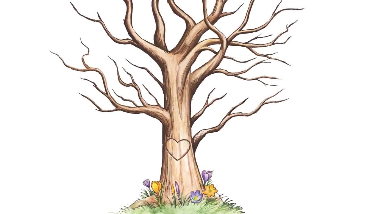 Blank Tree Printable