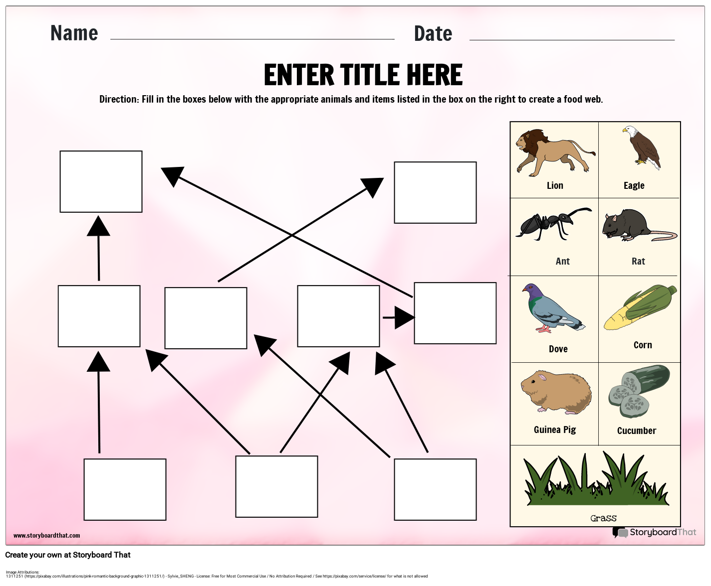 Food Web Process Ecosystem Template Storyboard