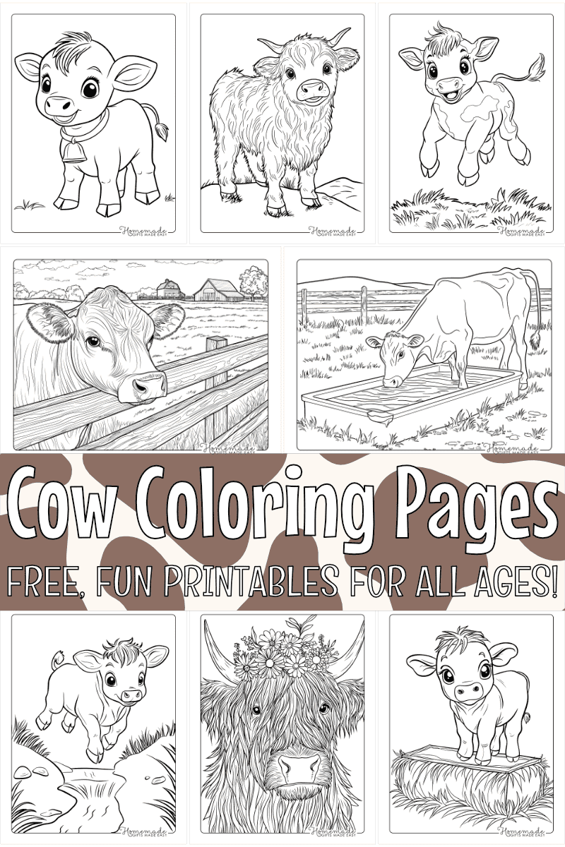 Blank Printable Coloring Book Cows