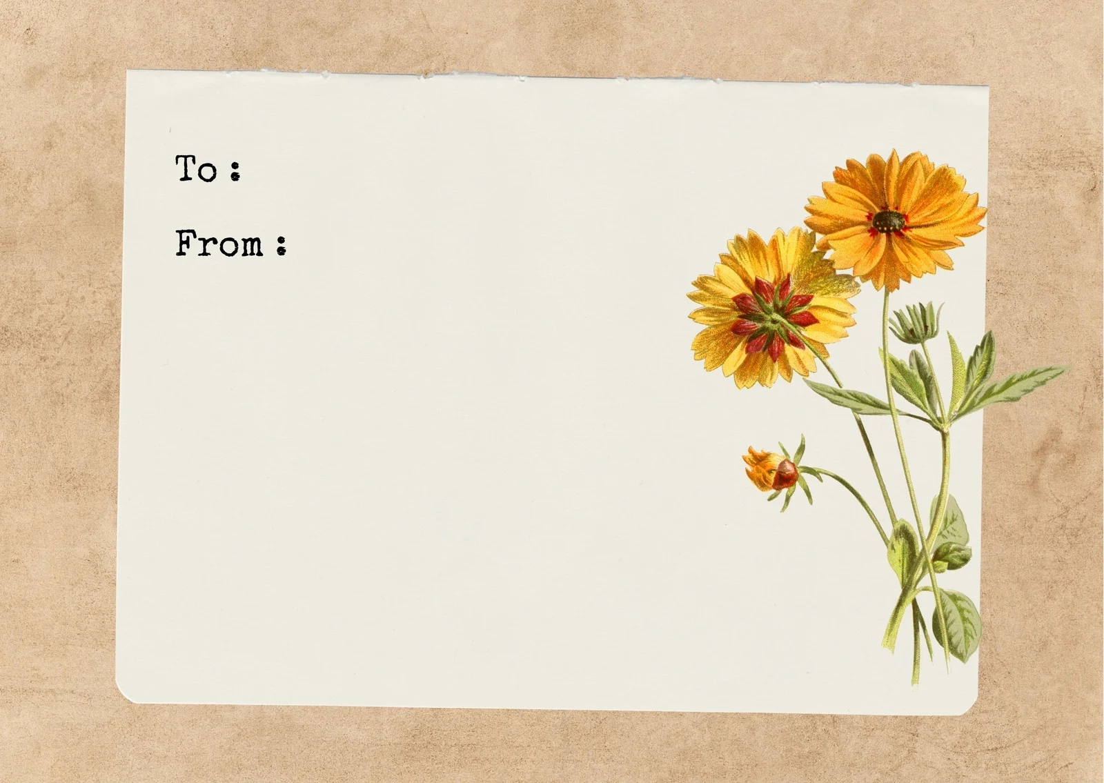Blank Printable Customizable Cards