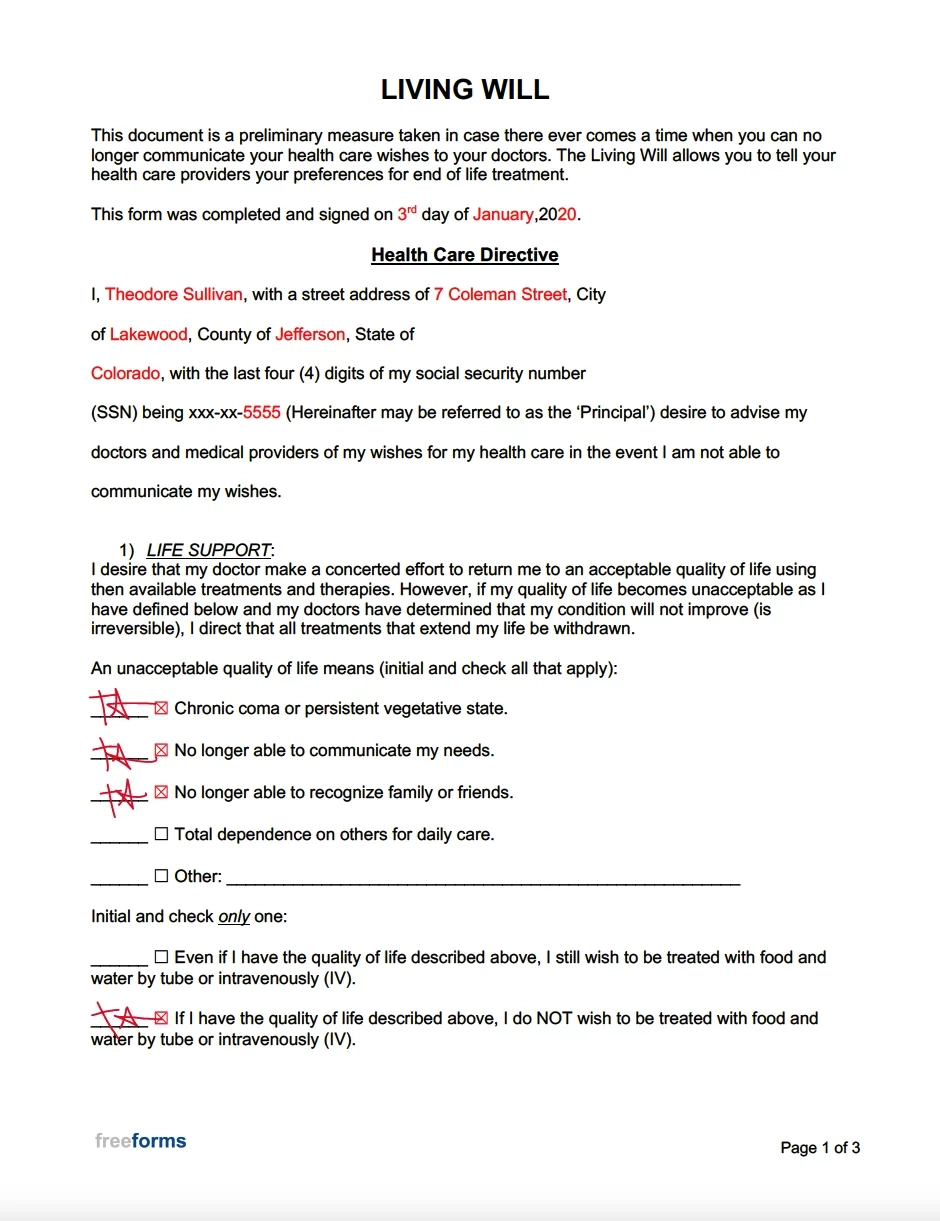 Free Printable Living Will-Blank Form