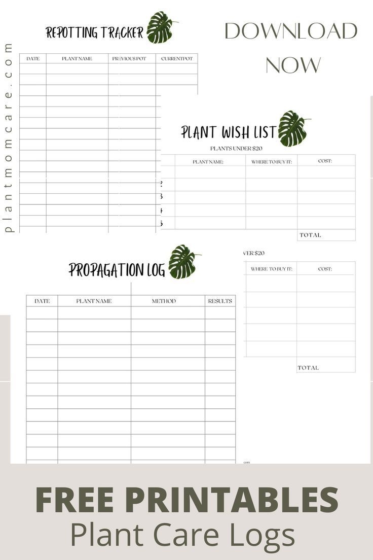 Houseplant Care Log Free Printable Plant Care Tracker