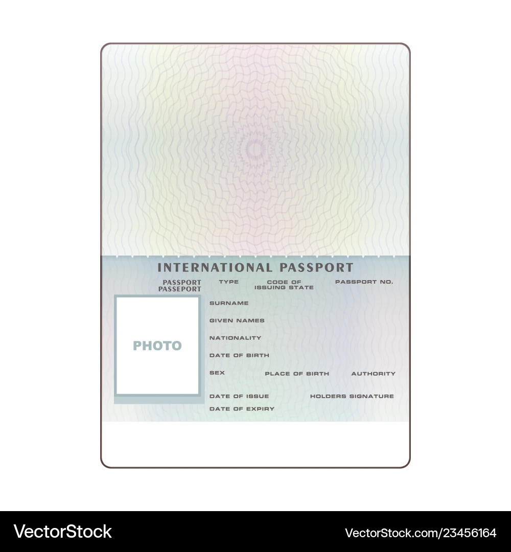 International Open Passport Blank Template Vector Image