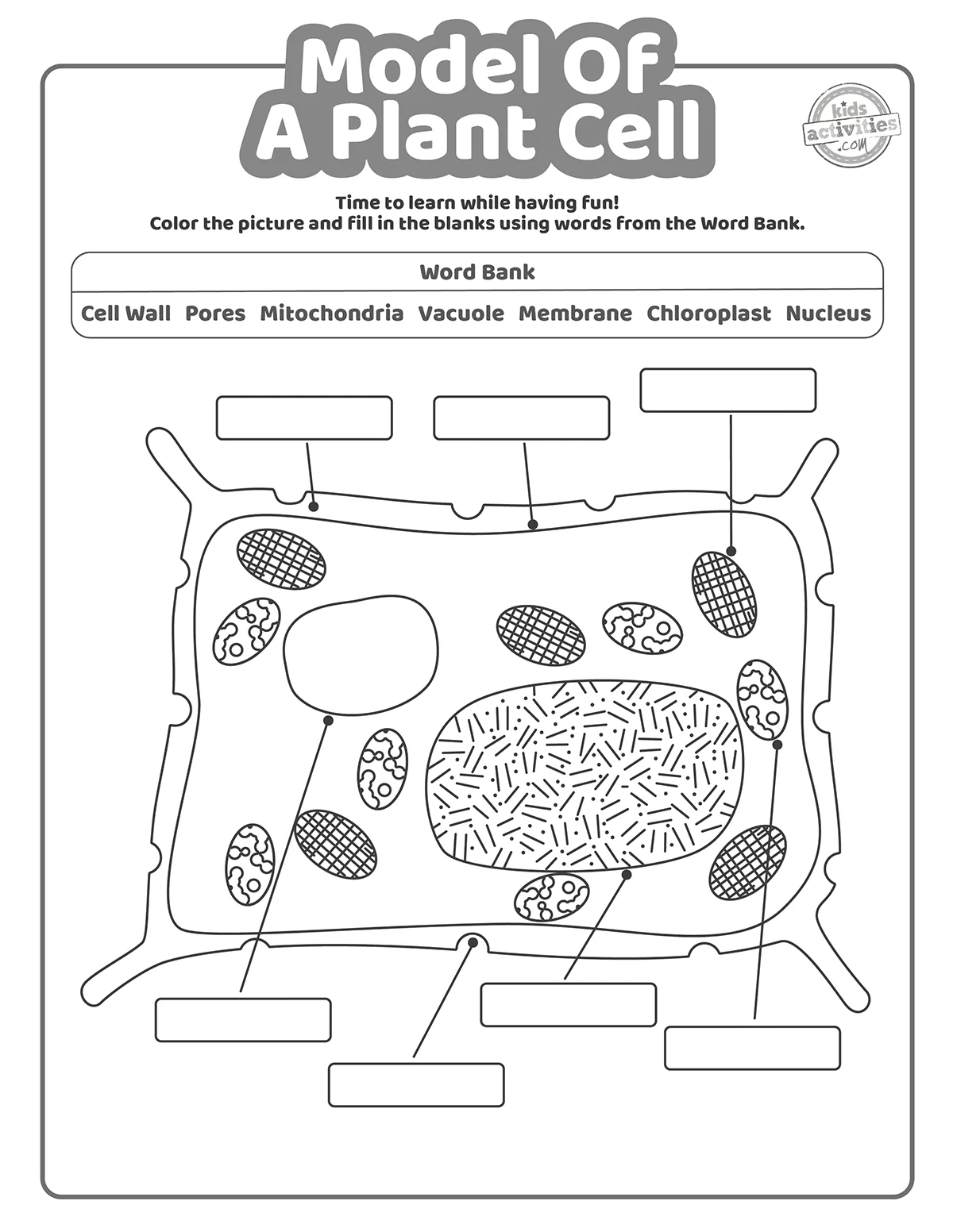Model Of A Plant Cell Worksheet amp Coloring Pages Kids Activities 
