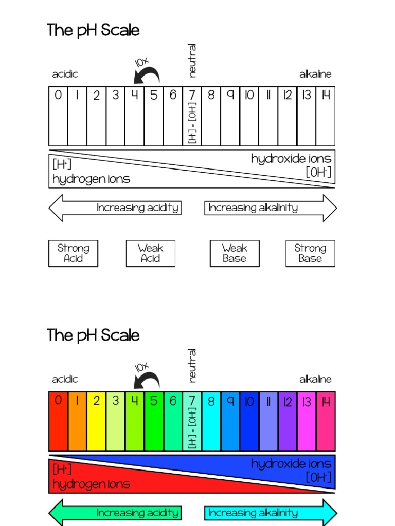 PH Scale Worksheet Live Worksheets Worksheets Library