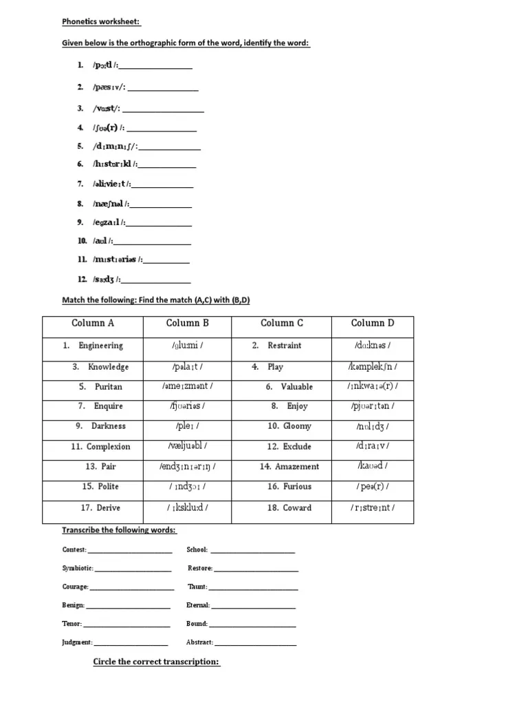 Phonetics Worksheet PDF Stress Linguistics Human Communication