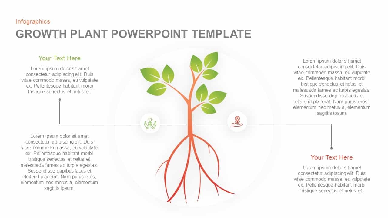 Printable Blank Plant Diagram