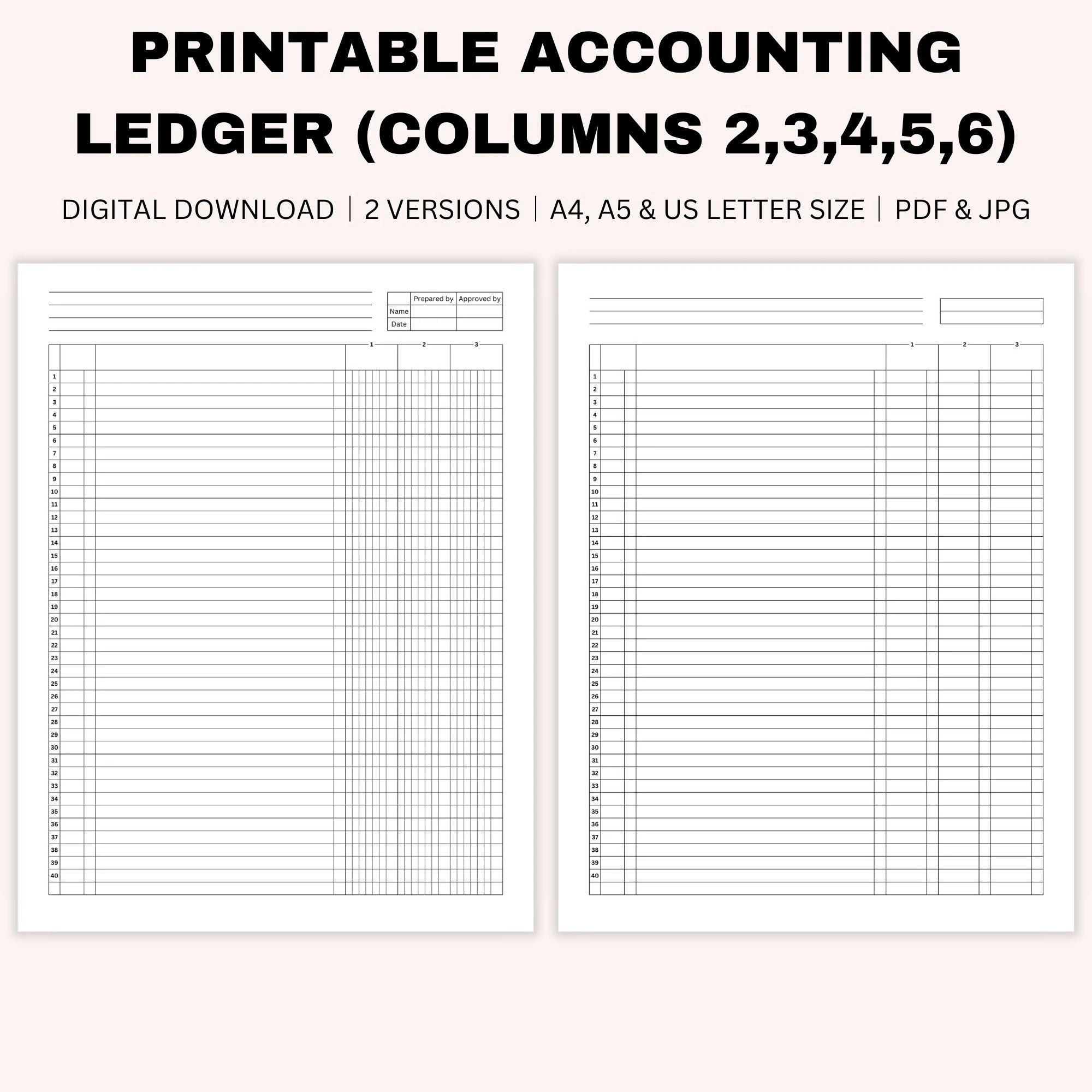 Printable Blank Accounting Ledger Money Ledger Bookkeeping 