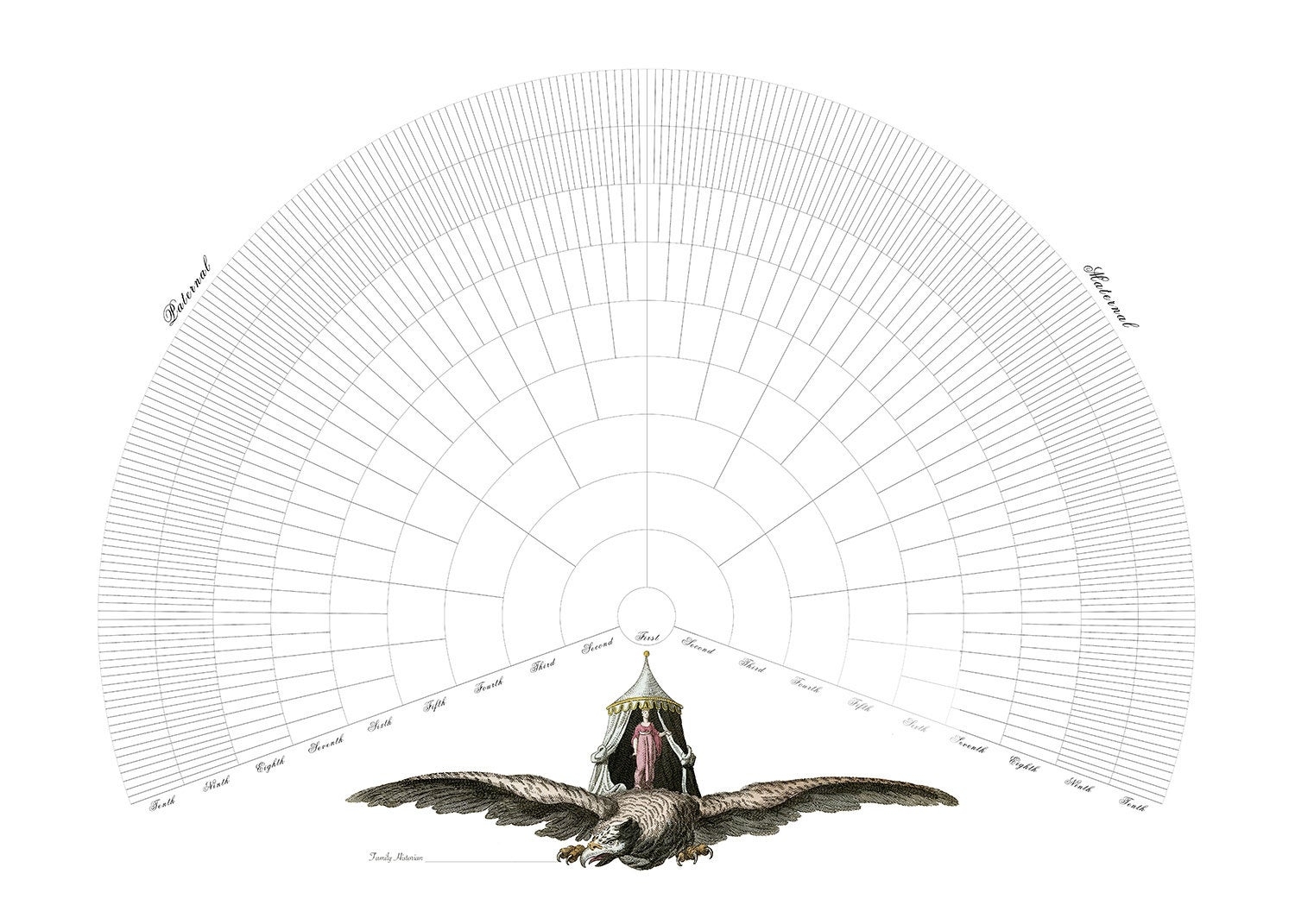 Printable Blank Family Fan Chart