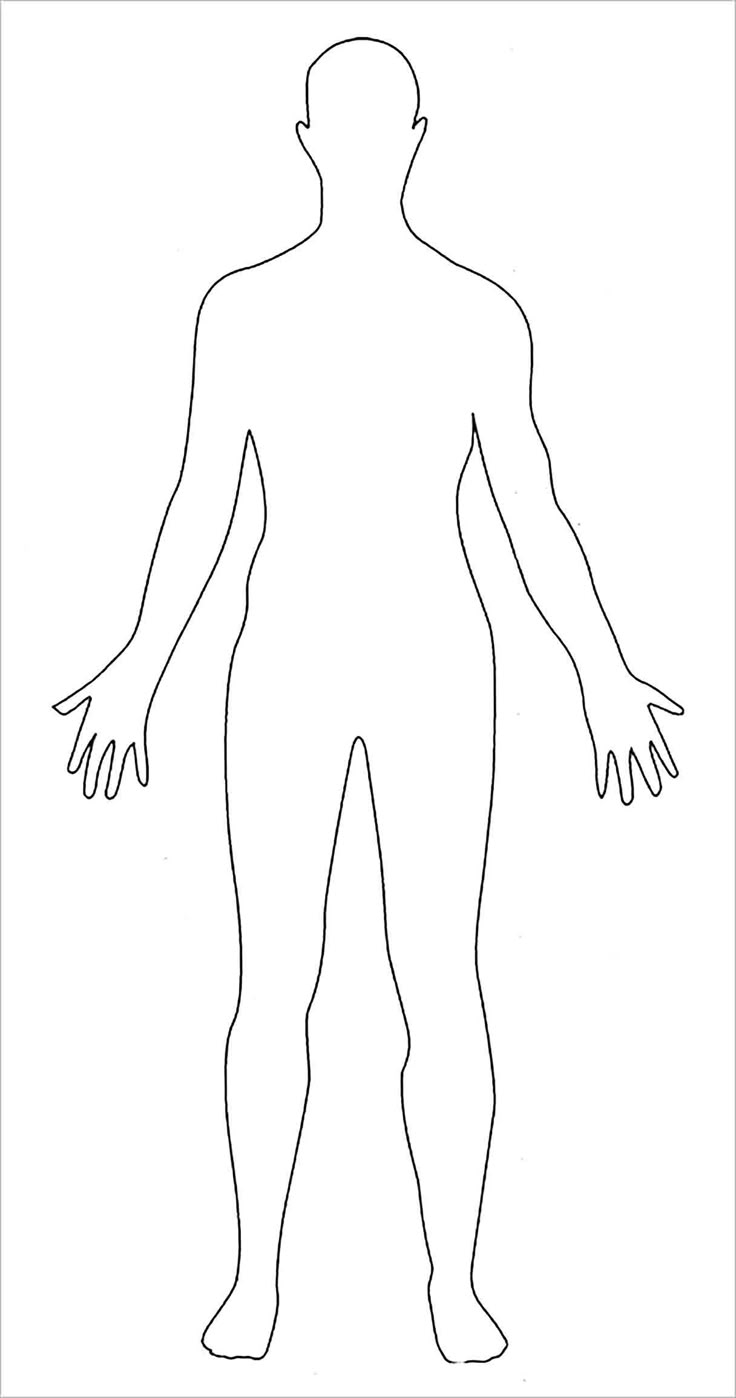 Printable Outline Of A Body Blank Diagram Anatomy Anatomical 