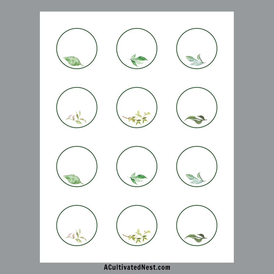 Free Printable Blank Circle Labels
