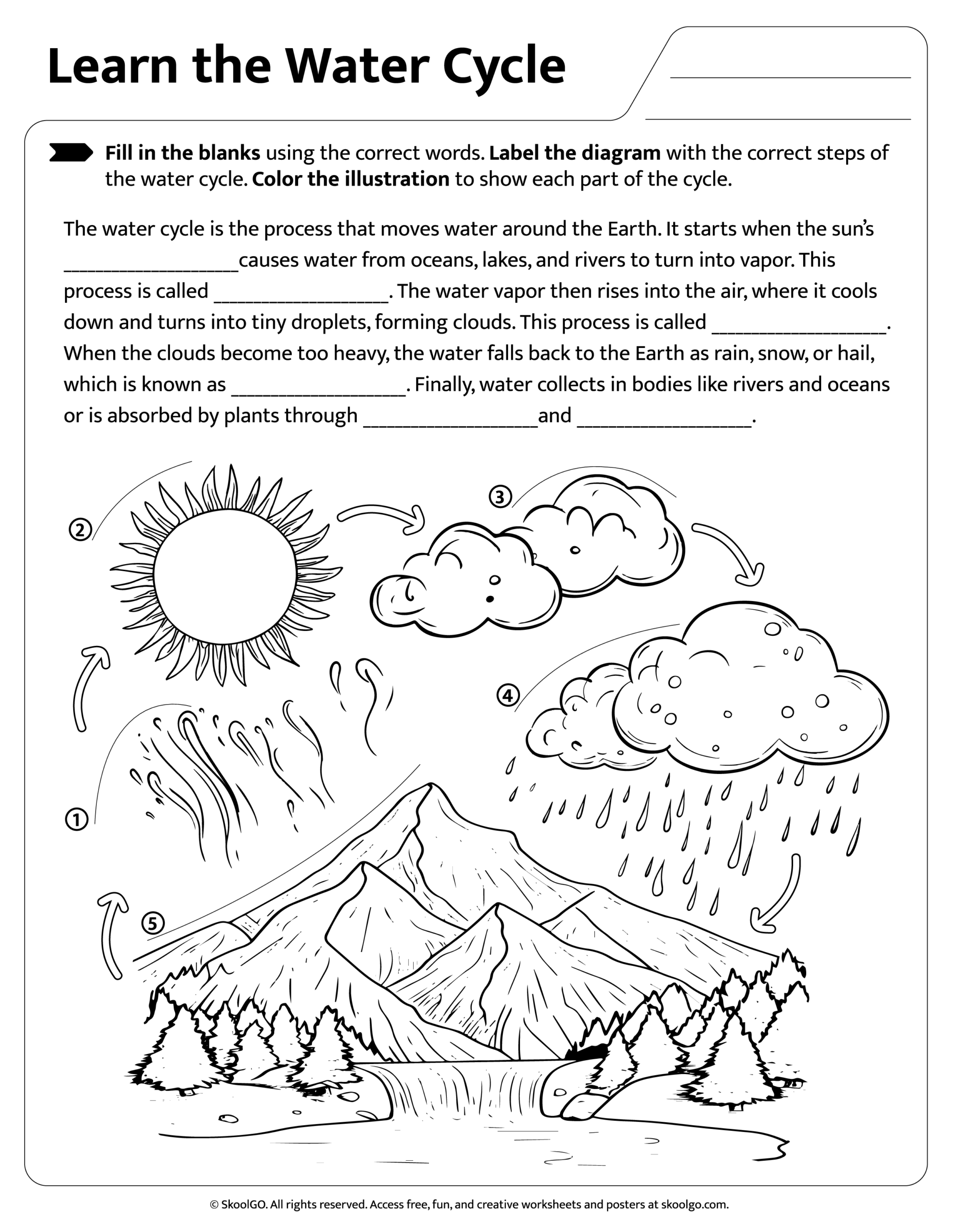 Water Cycle Printable Worksheet Blank