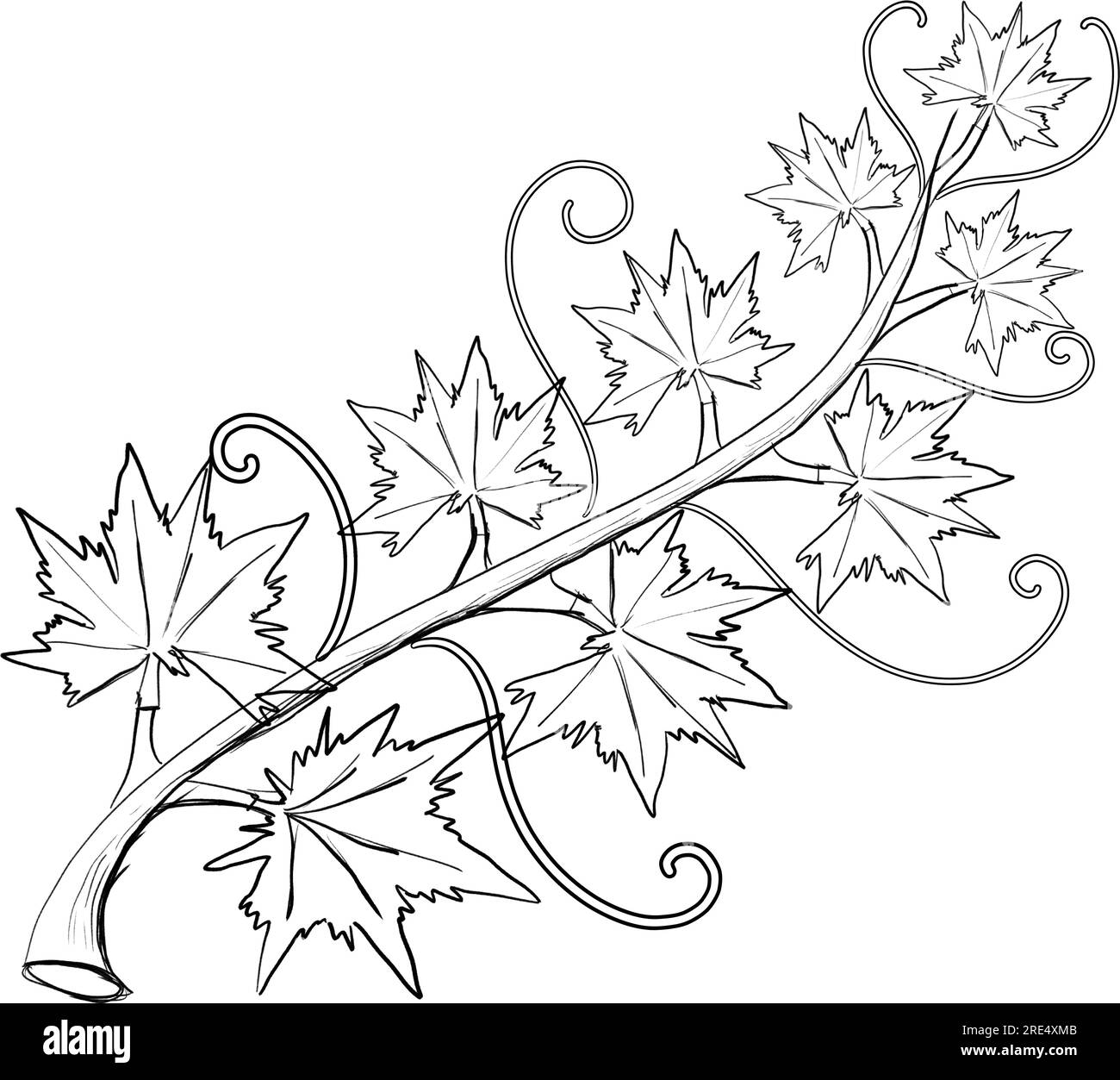 Pumpkin With Vine Cut Out Stock Images amp Pictures Alamy