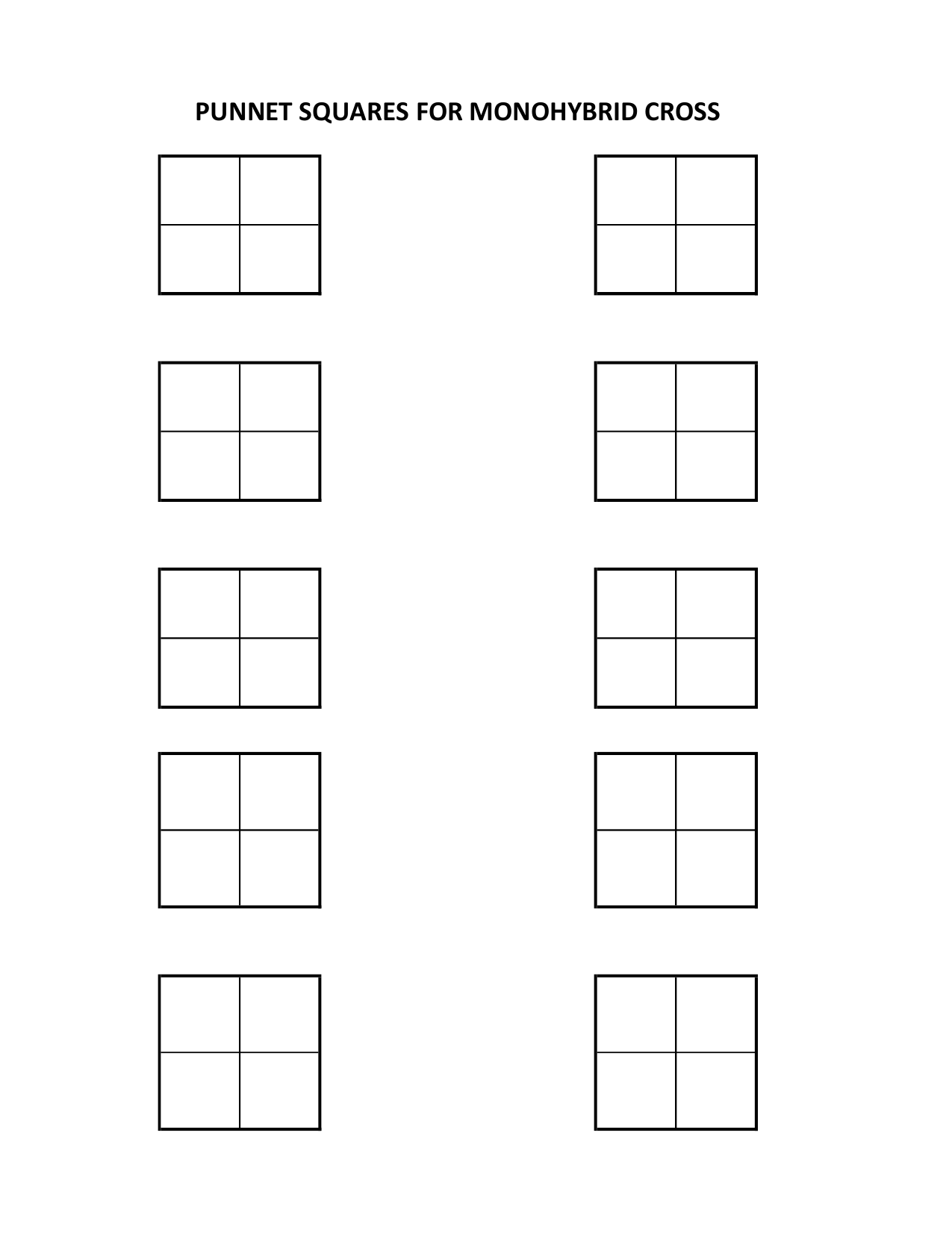 Blank Printable Punnett Squares