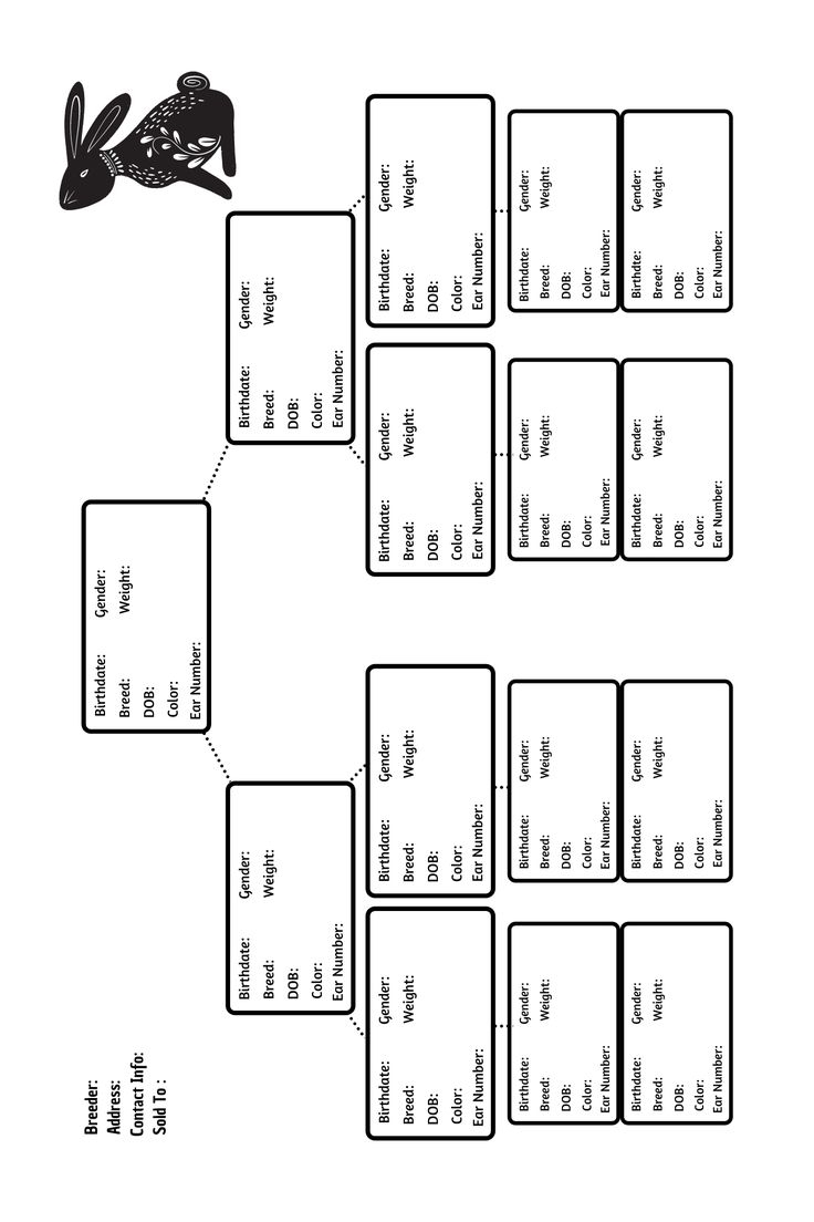 Rabbit Pedigree Forms