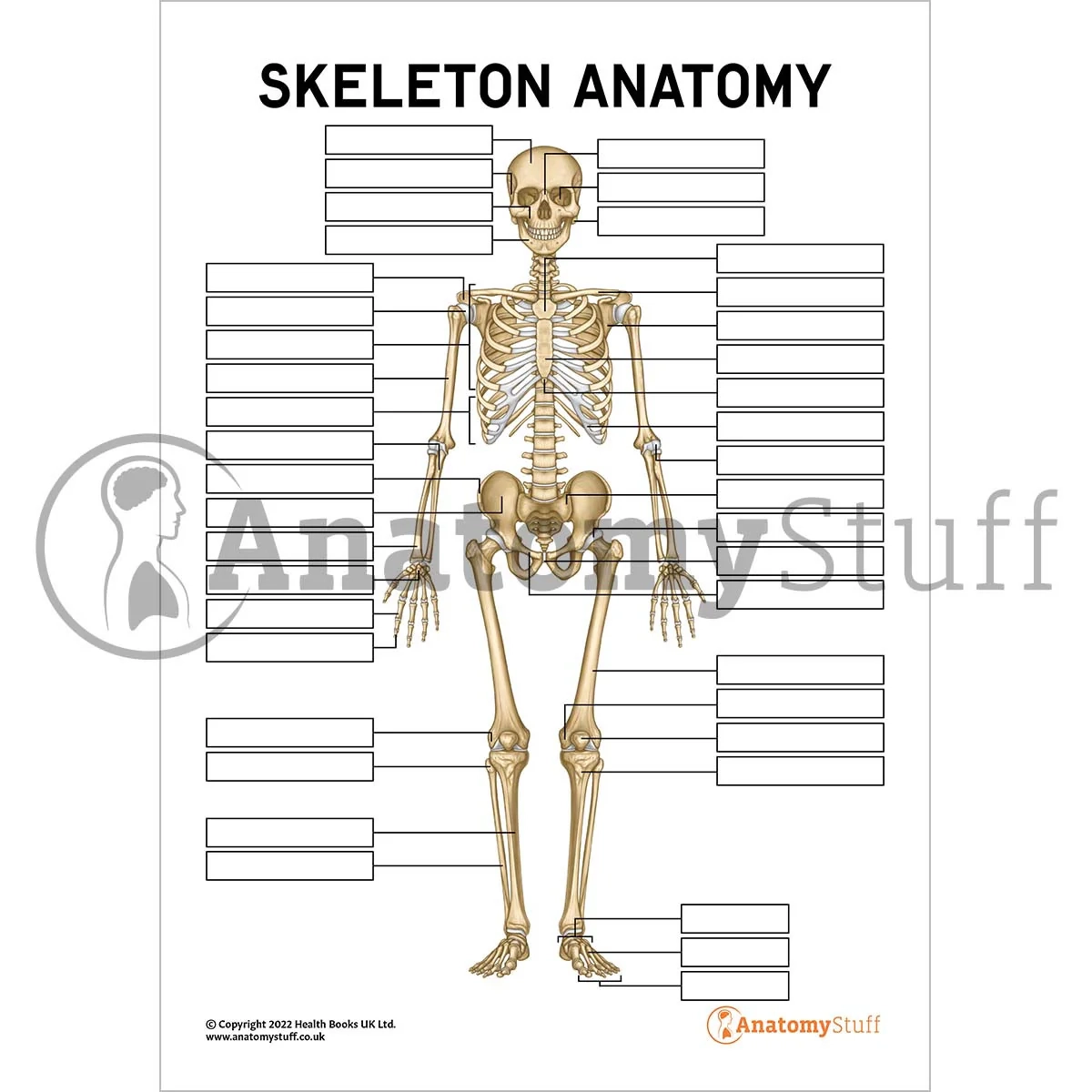 Anatomy Blank Diagrams Printable