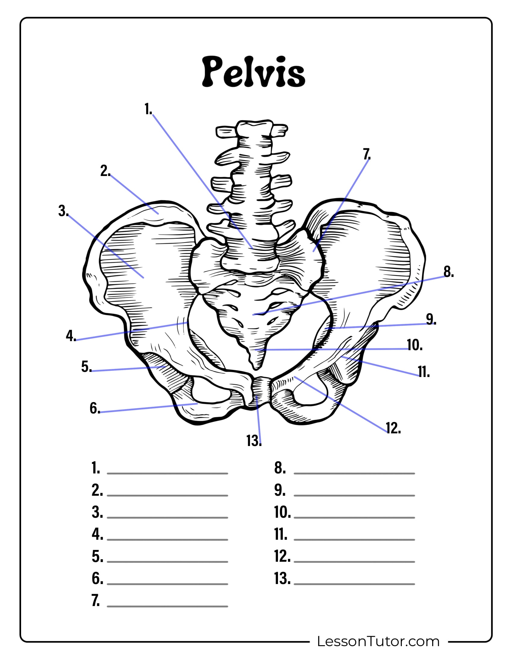 Free Blank Anatomy Printables