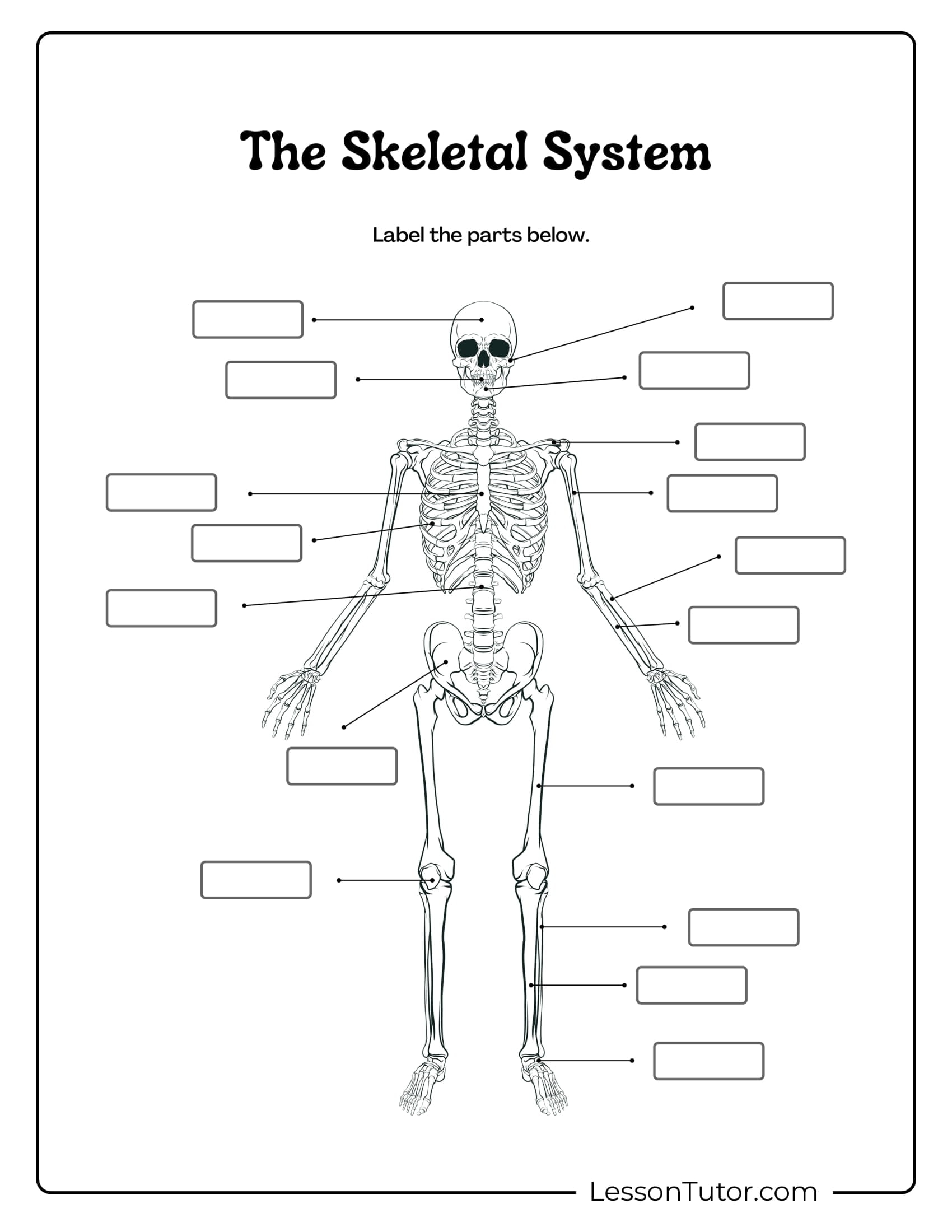 Skeleton System Worksheets Free Coloring Pages PDF Printables 