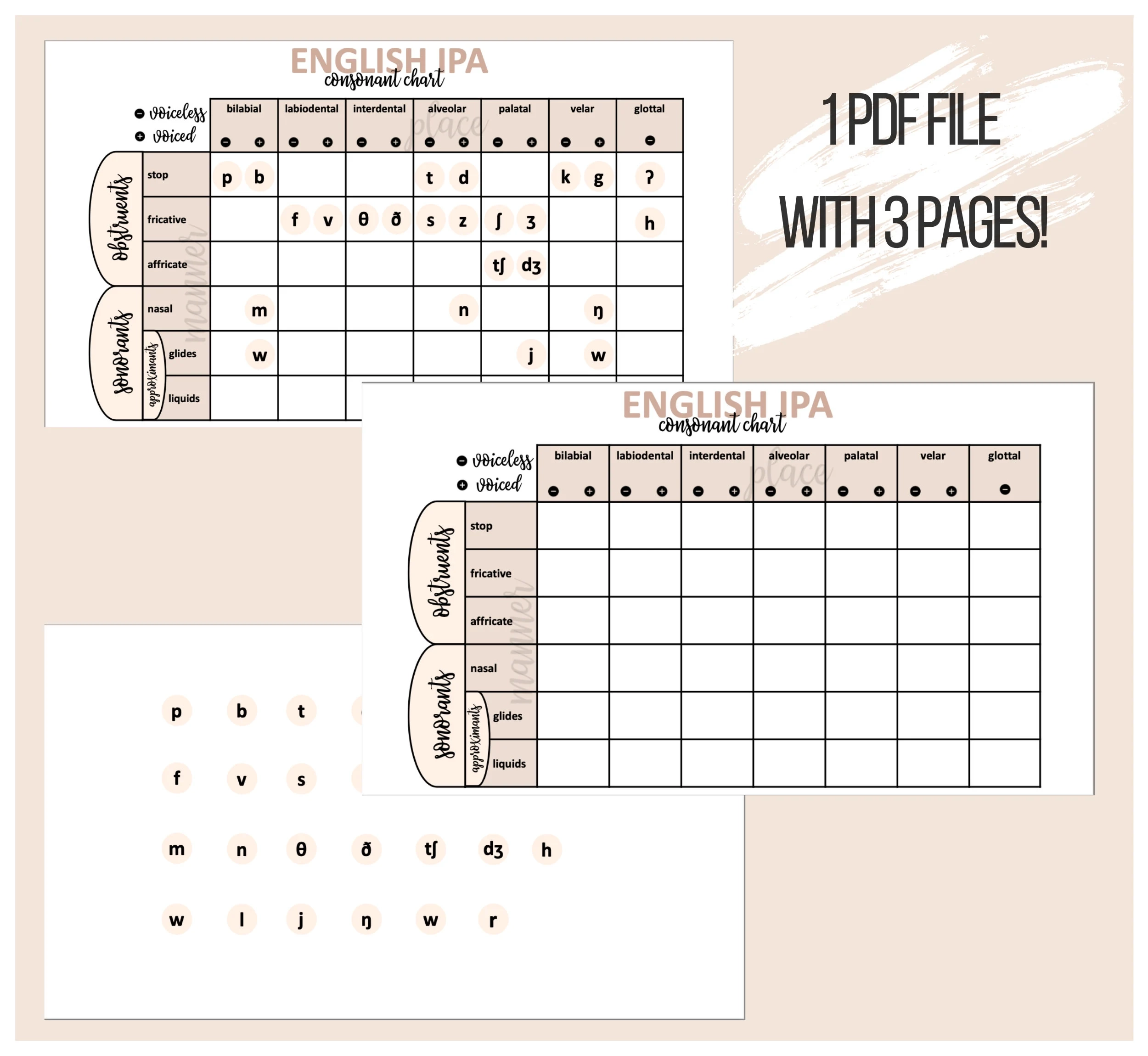 Speech Pathology English IPA Consonant Study Chart SLP Etsy