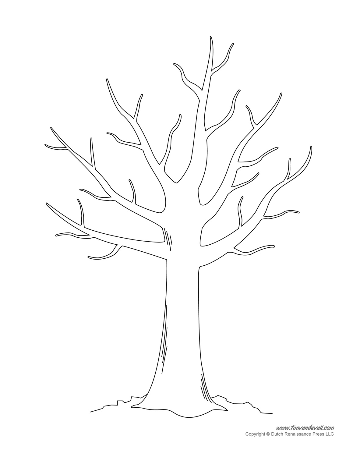 Blank Printable Tree