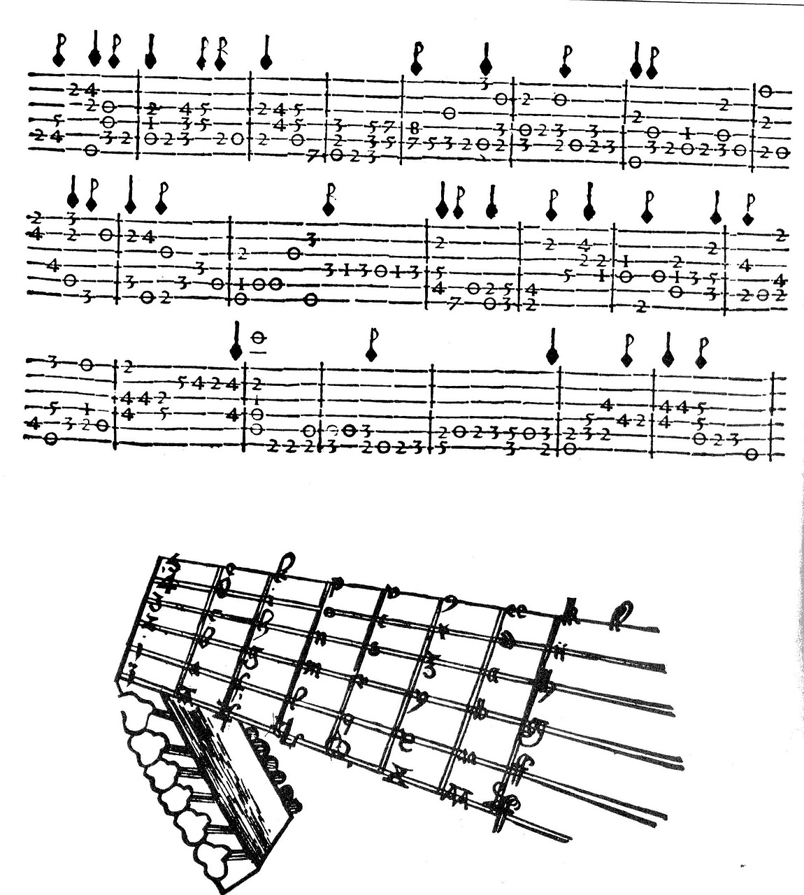 Ukulele Questions Is It Cheating To Use TABs 